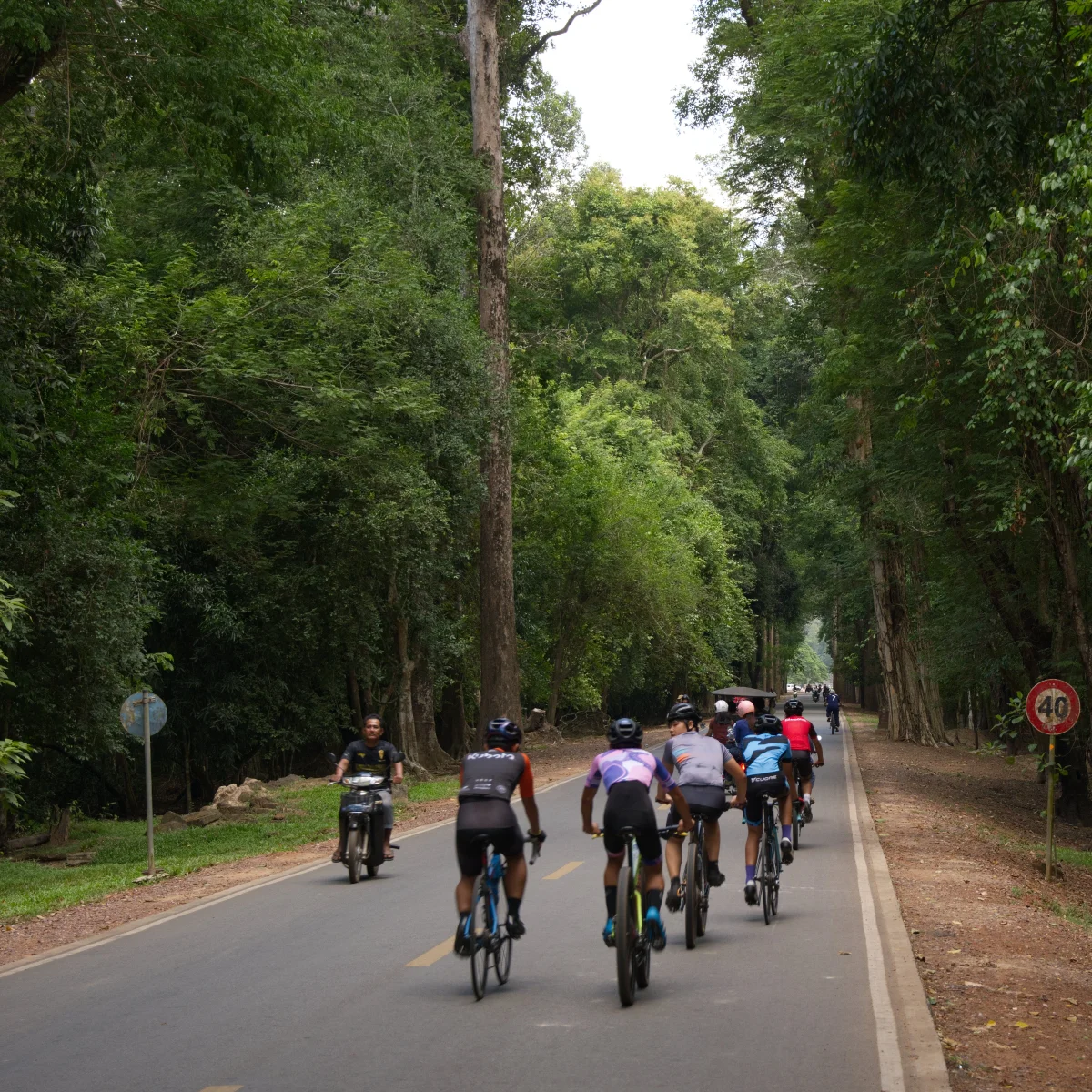 cyclists