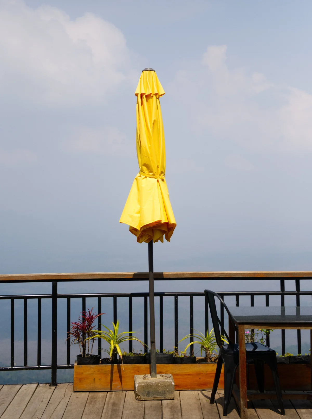 the yellow umbrella
