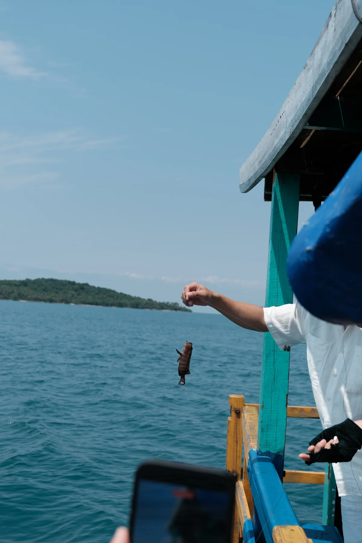 fish
